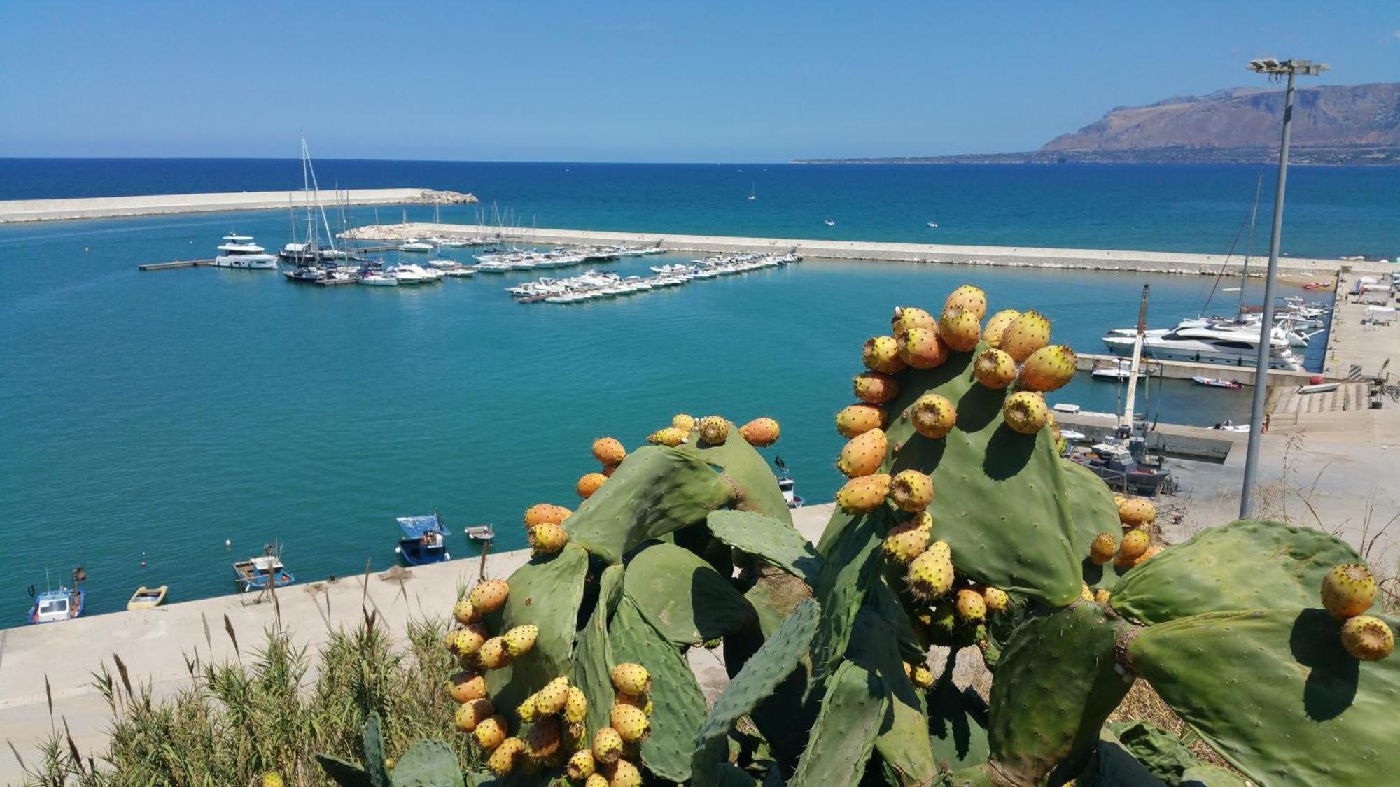 Loft In Balestrate Vicino Al Mare - Rental Beb المظهر الخارجي الصورة